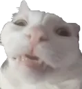leroybarkley