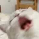 nu nu