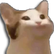 PauseCat