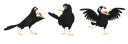 crows Discord emoji