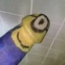 miniondick