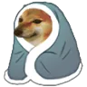 dogeChill