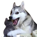 dogePun dogePun
