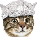 tinfoilcat Discord Emoji