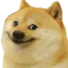 DogeNaughty