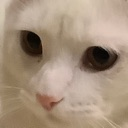 JK_dontlook Discord emoji