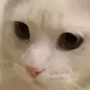 JK_dontlook