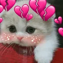 as_udash