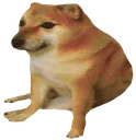 AUI_doggo AUI_doggo