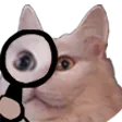 Catspy Discord Emoji