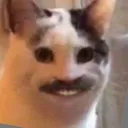 __