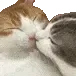 Kissacutie Kissacutie