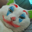 ClownCat Discord emoji
