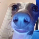 what Discord emoji