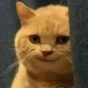 catto_peek