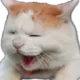 catlmaooo Discord Emoji