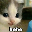 TH_hehe Discord emoji