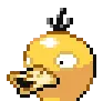duckpogduck