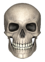 skull Discord emoji