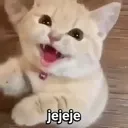 hehe