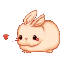 CuteBunBunHeart CuteBunBunHeart