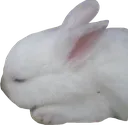 BunBunKiss2