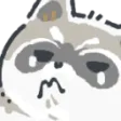 raccoonsadge