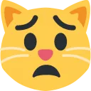 worriedcat worriedcat
