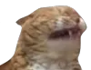 eeeeeee