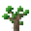 sapling_twilightoak