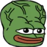 BigBrain