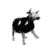 DancingCow