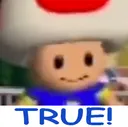 buptrue buptrue