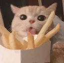 catfrenchfries