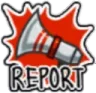 report