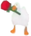 i_06roseduck