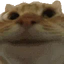 :chatuiui: chatuiui