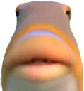 starevx