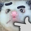 possThonk