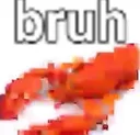 rak_bruh