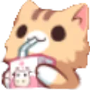 CatMemes Discord Emoji