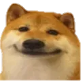 dogeheh dogeheh