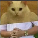 catman_hmmm