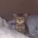 immamurderyou