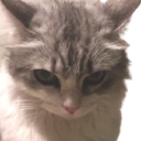 evilkitty Discord emoji