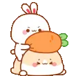 b0nk