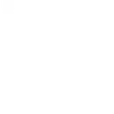 DicePls