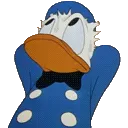 ducksweat ducksweat