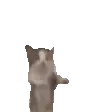 boing