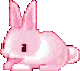 pinkbunny